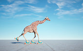 Giraffe goes on rollers.