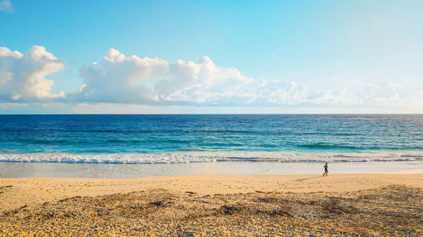 istock Runner run along the coast of ocean at sunrise 1457871436