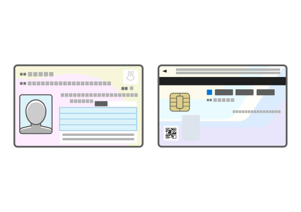 Illustration of front and back of My Number Card Illustration of front and back of My Number Card. 
My Number Card is Japanese ID card with social security and tax number. public service icon stock illustrations