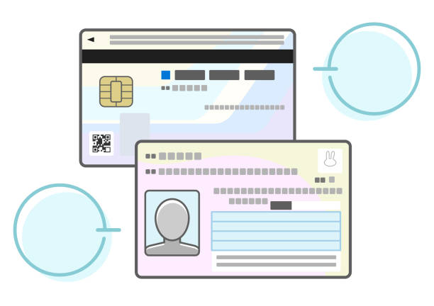 Illustration of front and back of My Number Card Illustration of front and back of My Number Card. 
My Number Card is Japanese ID card with social security and tax number. public service icon stock illustrations