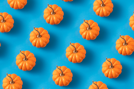 Miniature pumpkins in a row on blue background