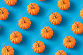 Pumpkins on Blue Background