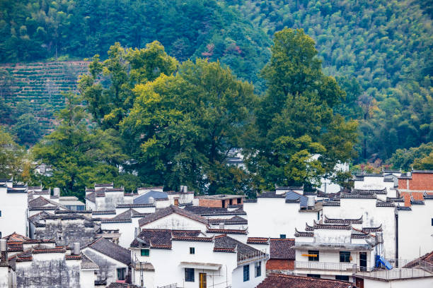 istock Wuyuan historical Village, China 1457881783