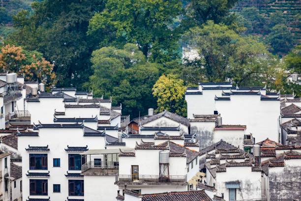 Traditional Chinese garden-style architecture