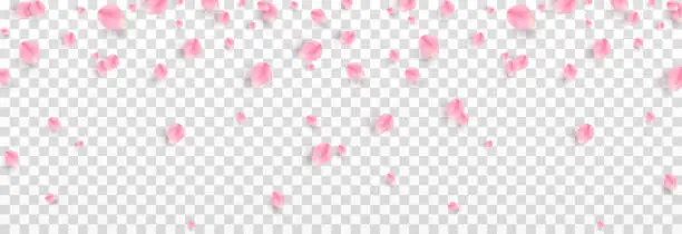 Vector illustration of Vector falling rose petals. Falling sakura petals, roses. Pink petals. Petals for Valentine's Day, Mother's Day, March 8.