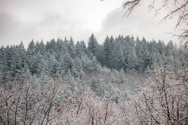 istock Travel in Germany 1457882863