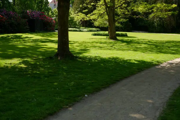 Landscape. Green shady European city park. European park with shady alleys, a trimmed lawn, decorative bushes and trees on a summer day.