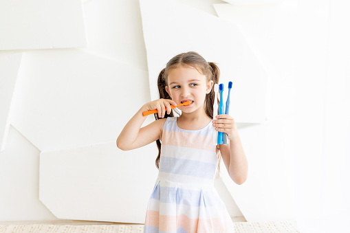 little girl brushing her teeth on a white background and holding toothbrushes, place for text, healthy teeth