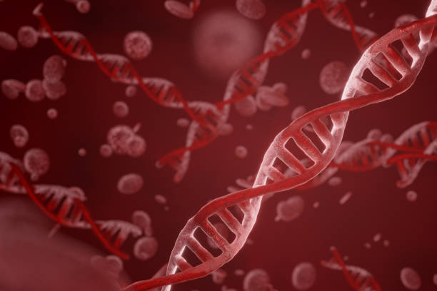 istock DNA and red blood cells simulate abstract and imagination, red tones - 3d rendering. 1457886378