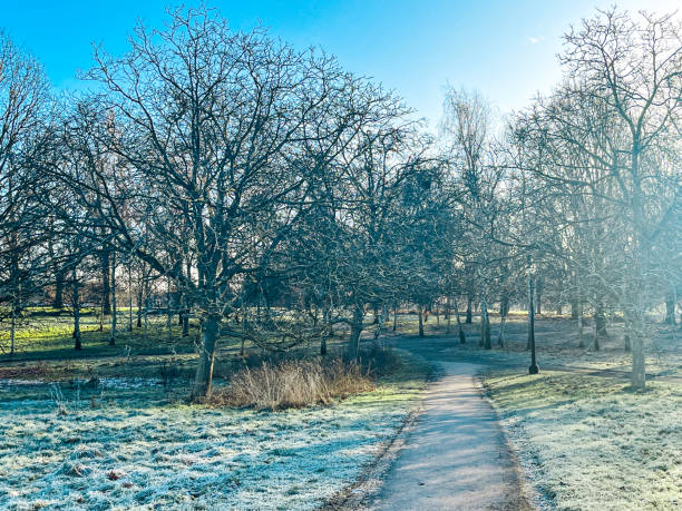 istock Frosty morning in London park 1457907279