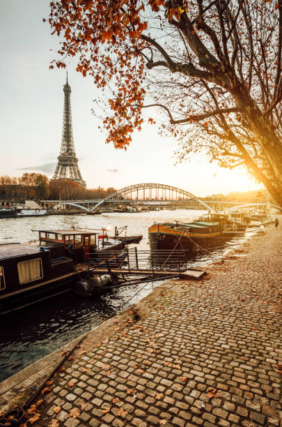 istock Eiffel Tower at Dawn, Paris, France 1457908659