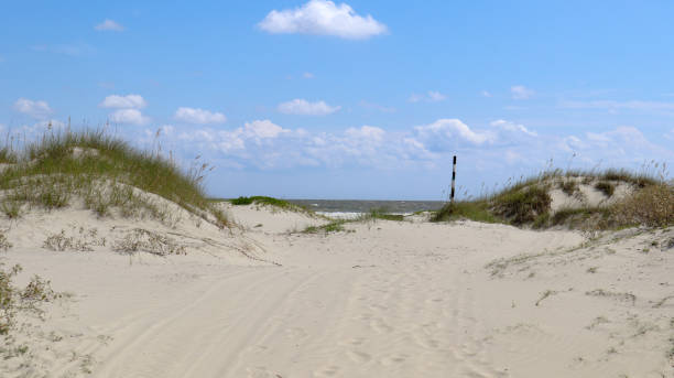 cumberland island beach avanti - cumberland island georgia island history foto e immagini stock