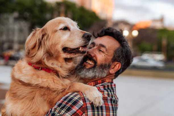 reifer mann mit golden retriever hund, der sich umarmt und liebe teilt - pet equipment stock-fotos und bilder