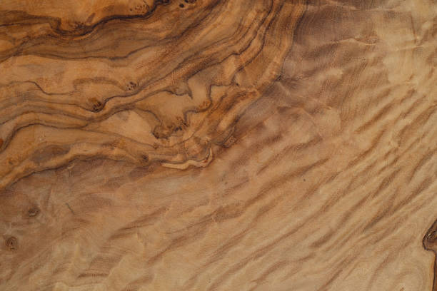 istock Olive wood texture background. Vintage wood. Surface of texture with natural pattern. Close up cross section of tree texture background. 1457920204