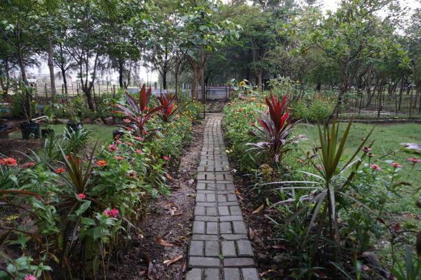 istock flower in garden 1457920453