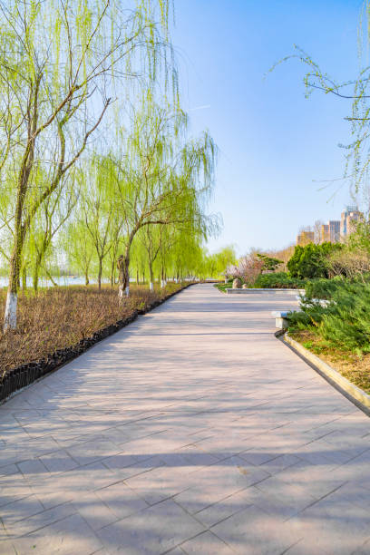 istock The road by the lake 1457920675