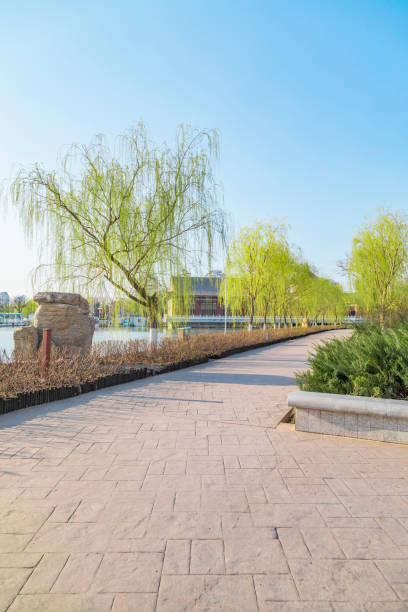 istock The road by the lake 1457920780