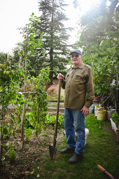 istock Senior grandparent working in garden 1457925537