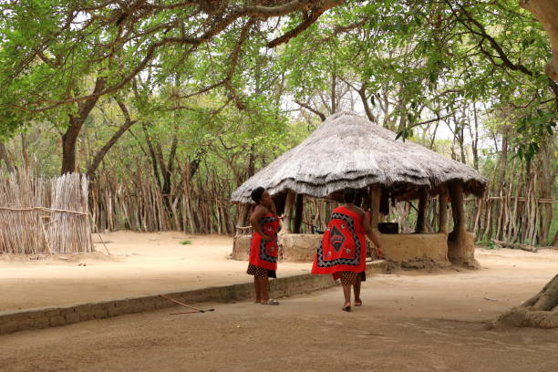 traditional dancers market in the south of africa - zulu african descent africa dancing imagens e fotografias de stock