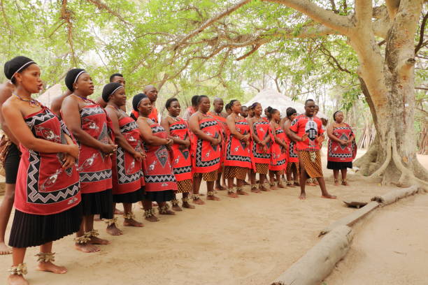 marché des danseurs traditionnels dans le sud de l’afrique - swaziland photos et images de collection