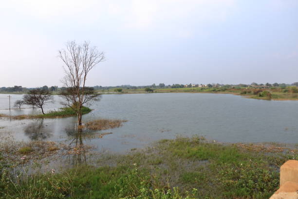 Backwaters near Bidar, Karnataka, India