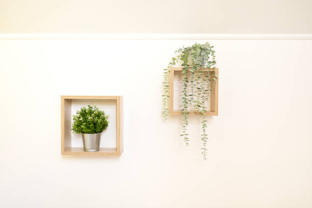 istock Decorative composition with green plants in white wooden frame 1457932001