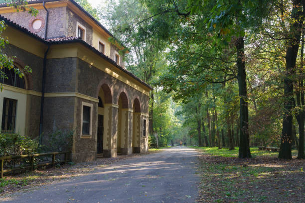 Road in the Monza park at fall