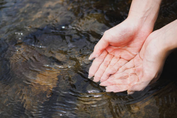 istock A woman's cupped hand is holding clean natural water in the river, copy space 1457934964