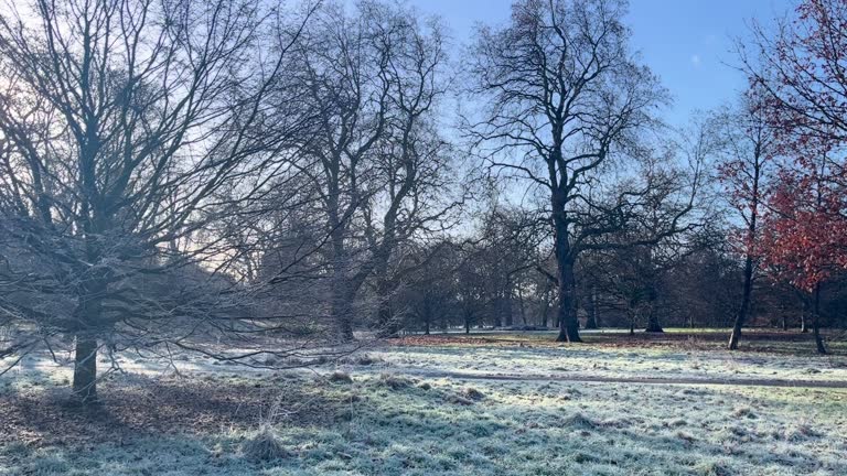 Frosty morning in London