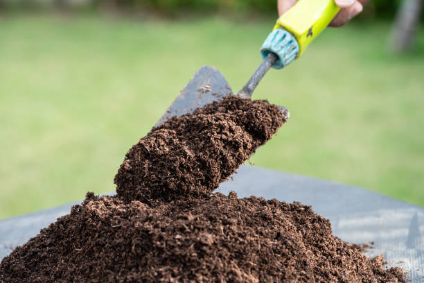 Hand holding peat moss organic matter improve soil for agriculture organic plant growing, ecology concept. Hand holding peat moss organic matter improve soil for agriculture organic plant growing, ecology concept. topsoil stock pictures, royalty-free photos & images