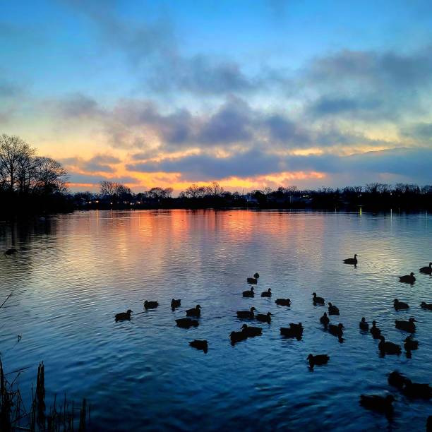 istock Colorful sunrise at the lake 1457953889