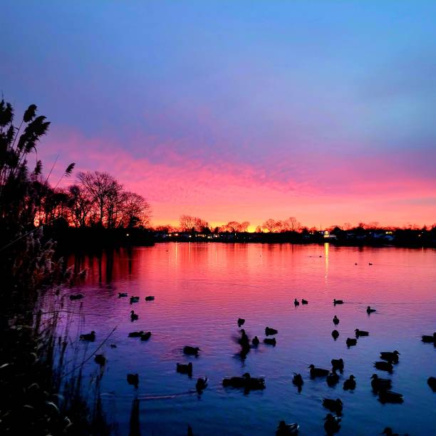 istock Red sunrise at the lake 1457954488