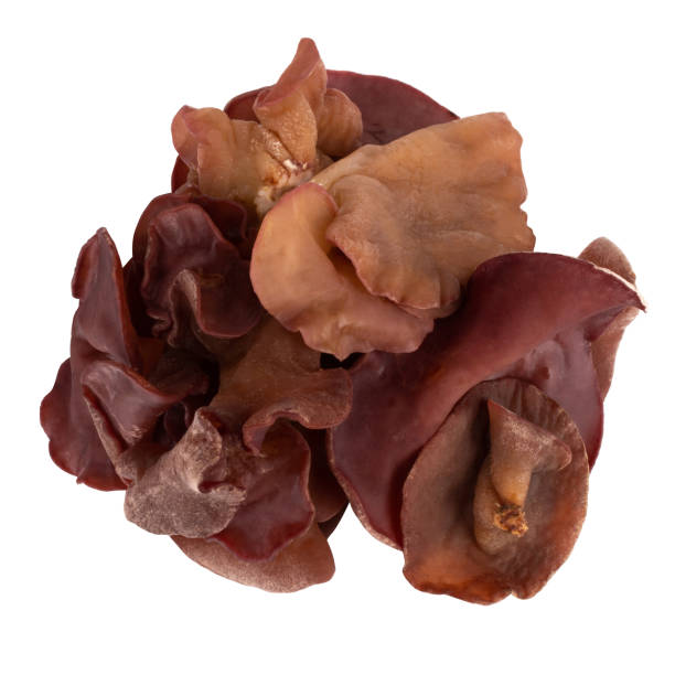 istock Jelly ear mushroom isolated on white background 1457956402