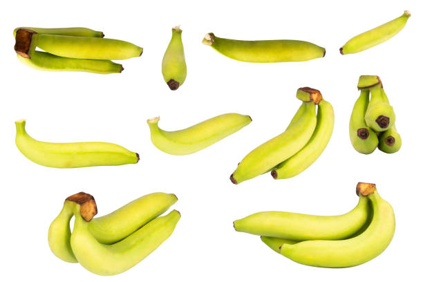 istock green banana isolated on white background 1457956469