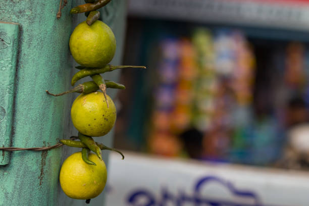 istock lemon and green chilli hanging at storefront to protect from evil eyes and ward off disasters. It is a widely accepted ritual in indian society. 1457956598