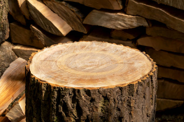 Firewood chopping deck, podium for products