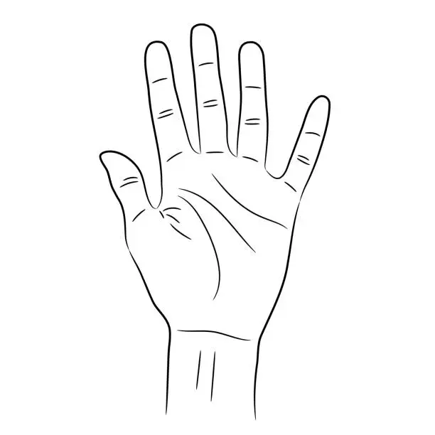 Vector illustration of Woman hand an open palm showing splayed five fingers sketch draw from the contour black brush lines different thickness on white background. Vector illustration.