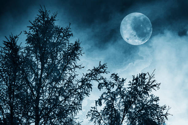 istock A large full moon over the trees at night. 1457959170