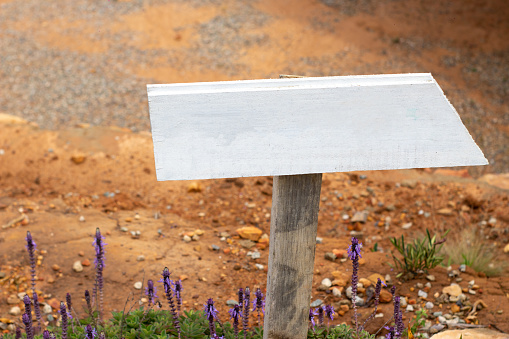 white wooden signpost buried in the ground with a shining light
