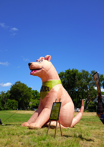 Cape Town, South Africa - November 19, 2022: A large pink inflatable dog, tethered by cables against the frequent Western Cape wind, stands in parkland in the wealthy Cape Town suburb of Constantia, advertising a brand of dog food.