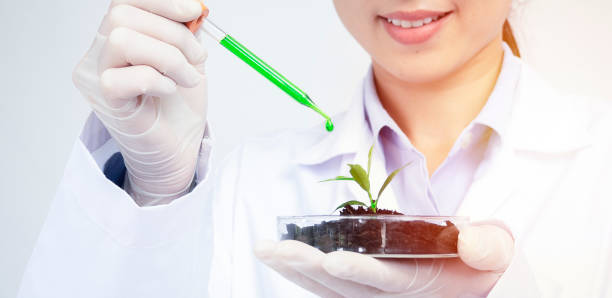 istock Advanced Scientific Lab for Medicine, Biotechnology, Microbiology Development 1457969068
