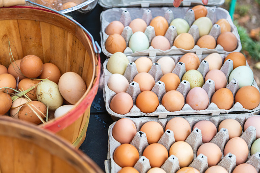 Huevos frescos de granja en cajas de cartón en zonas rurales del oeste de EE. UU. Agricultores ad Granjas Agricultura, Ganadería y personas Serie de fotos photo