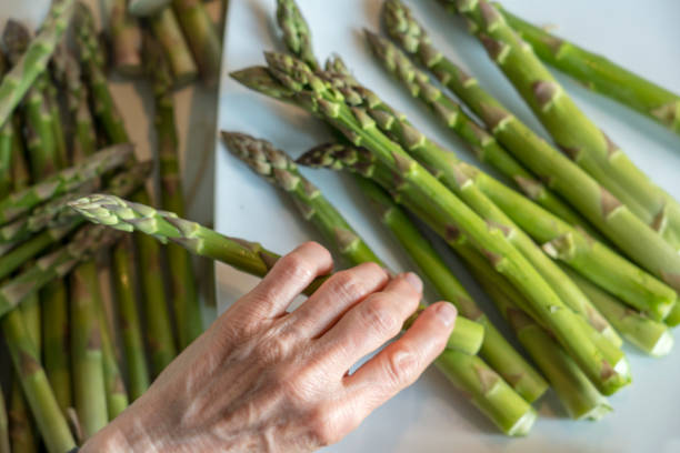 istock Female hands breaks fresh green asparagus 1457977044