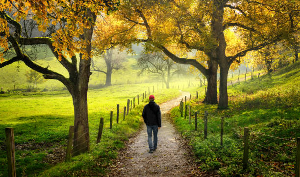 istock Walking through beautiful countryside 1457977790