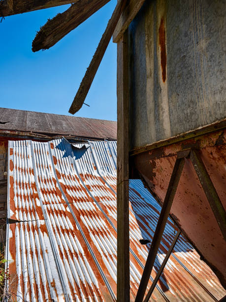 istock Rusting Tin Roof At Northern State Hospital 1457979410