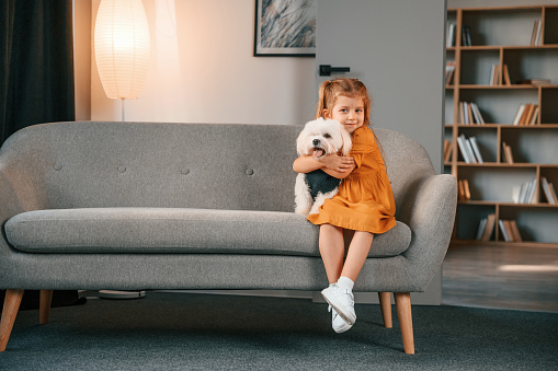 Little girl in yellow clothes is sitting on the sofa with maltese dog indoors in domestic room.