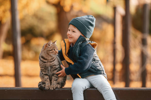 istock Young boy is sitting on the bench with cute cat outdoors 1457993429