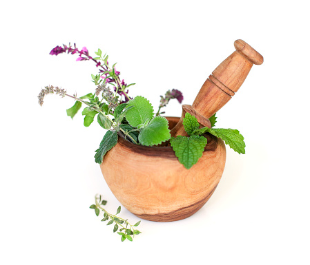 High angle of fresh herbs and pestle placed in olive wooden mortar isolated on white background