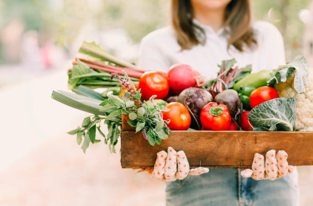 istock Crop female gardener showing vegetables 1457995659