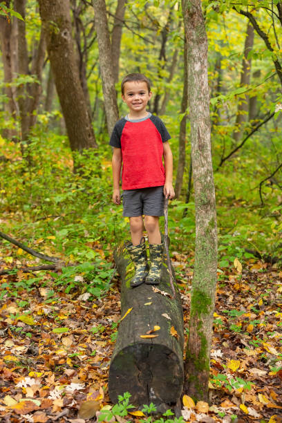 istock Boy Standing on Log In Woods on Rainy Day 1457998406
